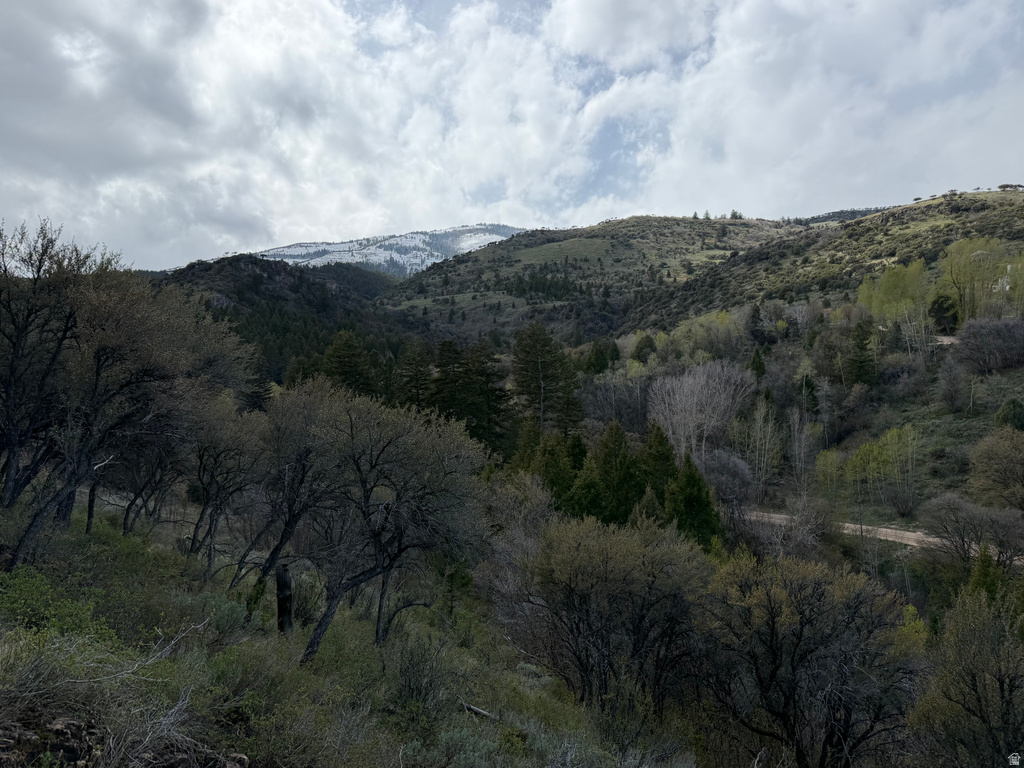 1300 W SWAN CREEK SPRING RD Garden City, UT 84028