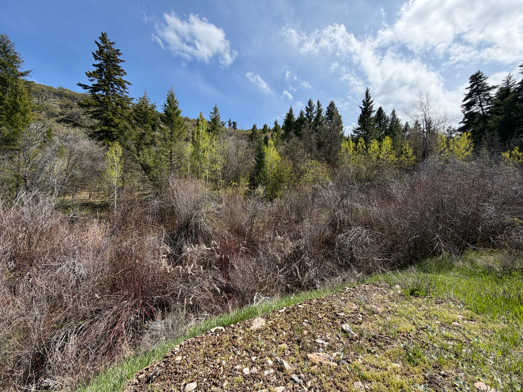 1300 W SWAN CREEK SPRING RD Garden City, UT 84028