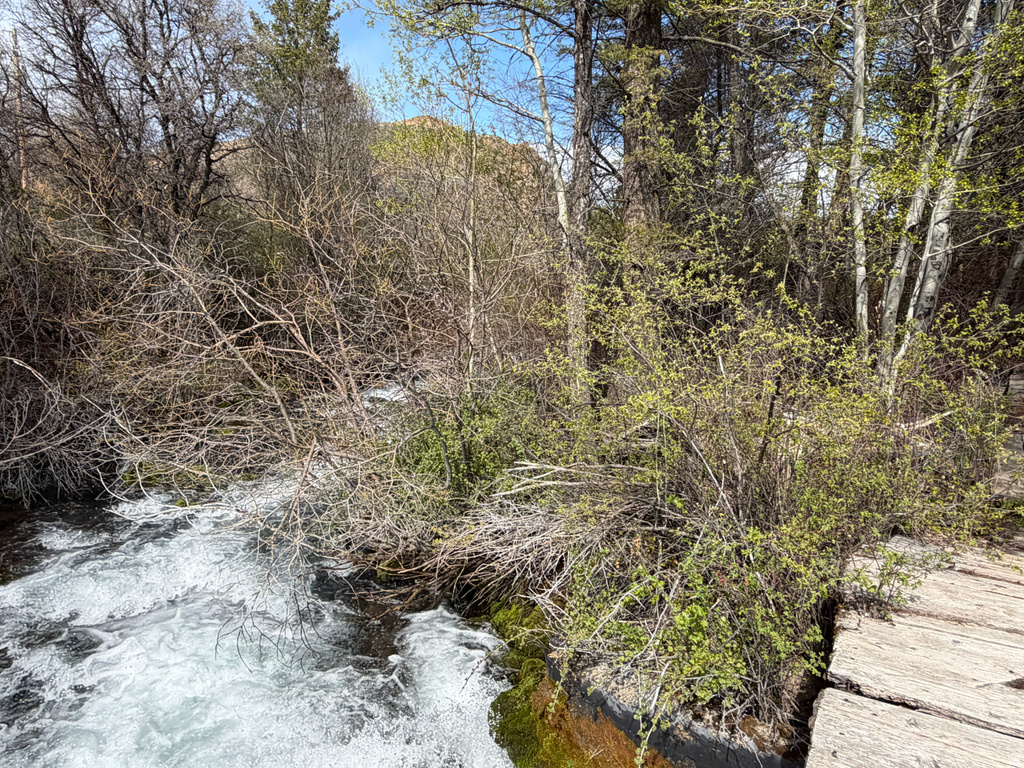 1300 W SWAN CREEK SPRING RD Garden City, UT 84028