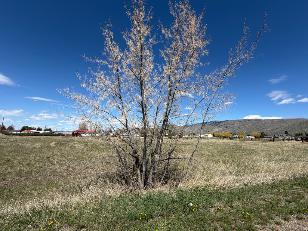 403 N 7TH ST Montpelier, ID 83254