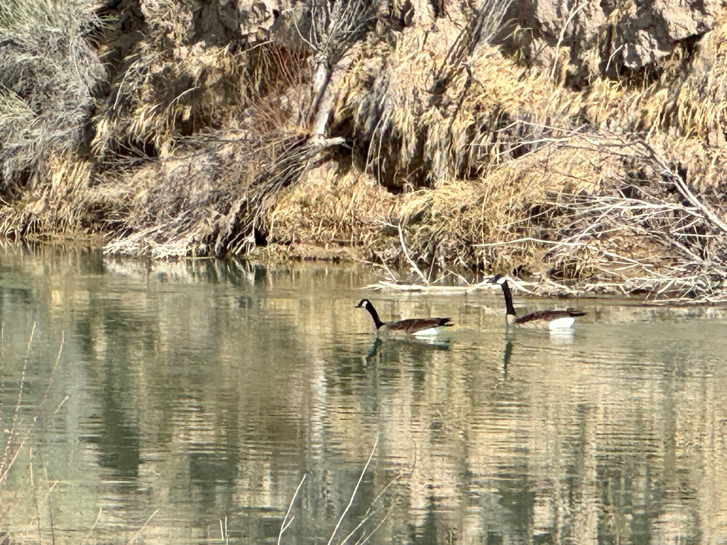 31  LOT 31-C SEVIER RIVER RNCH Levan, UT 84639
