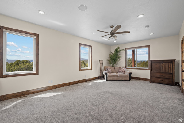 34371 N 10250 E Fairview, UT 84629