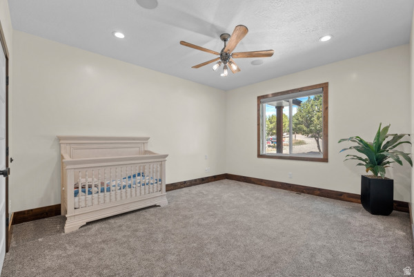 34371 N 10250 E Fairview, UT 84629