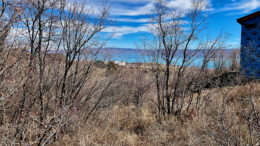 94  RED DR Fish Haven, ID 83287