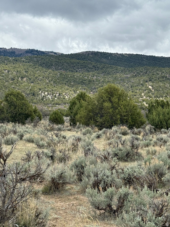  Spring City, UT 84662