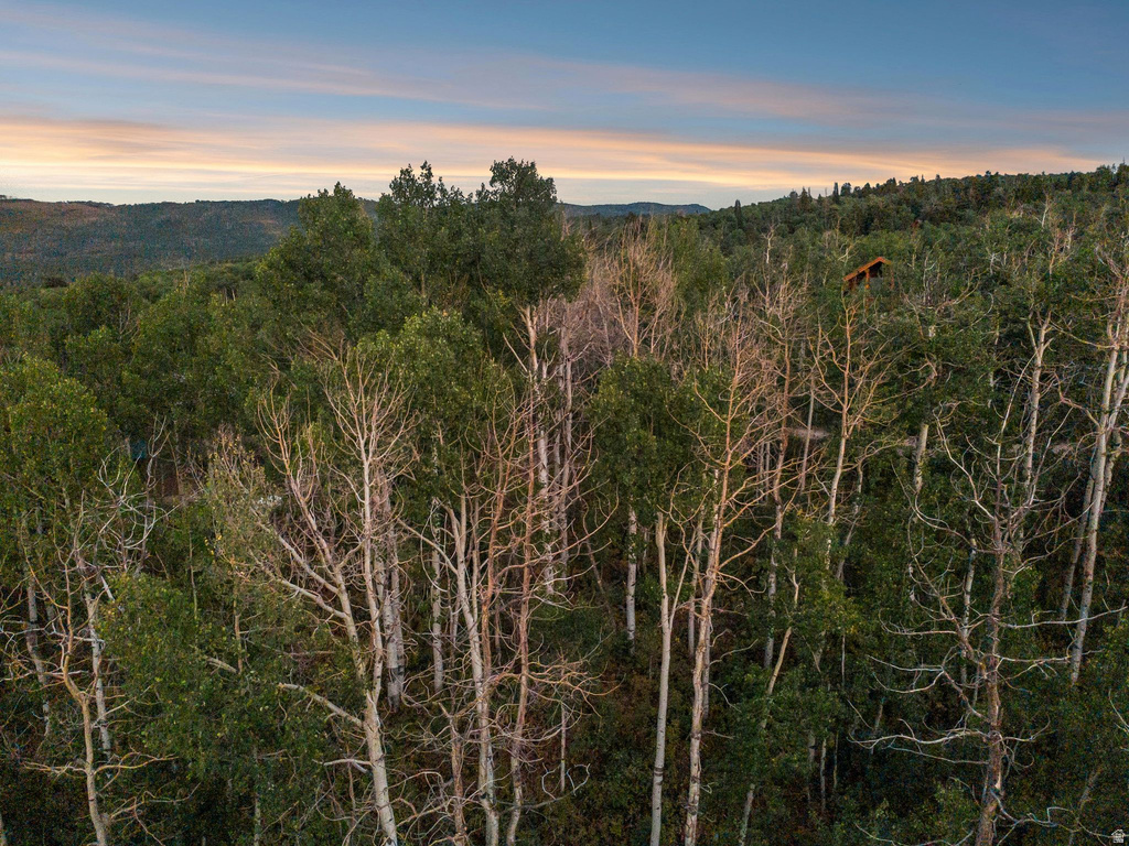 10749 E GREEN BRIAR RD Heber City, UT 84032