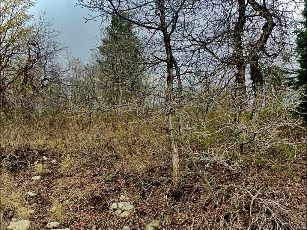 712 N WOLF HOLLOW Mt Pleasant, UT 84647