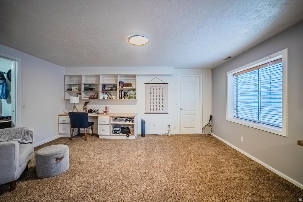 12008 S REEVES LN Riverton, UT 84065