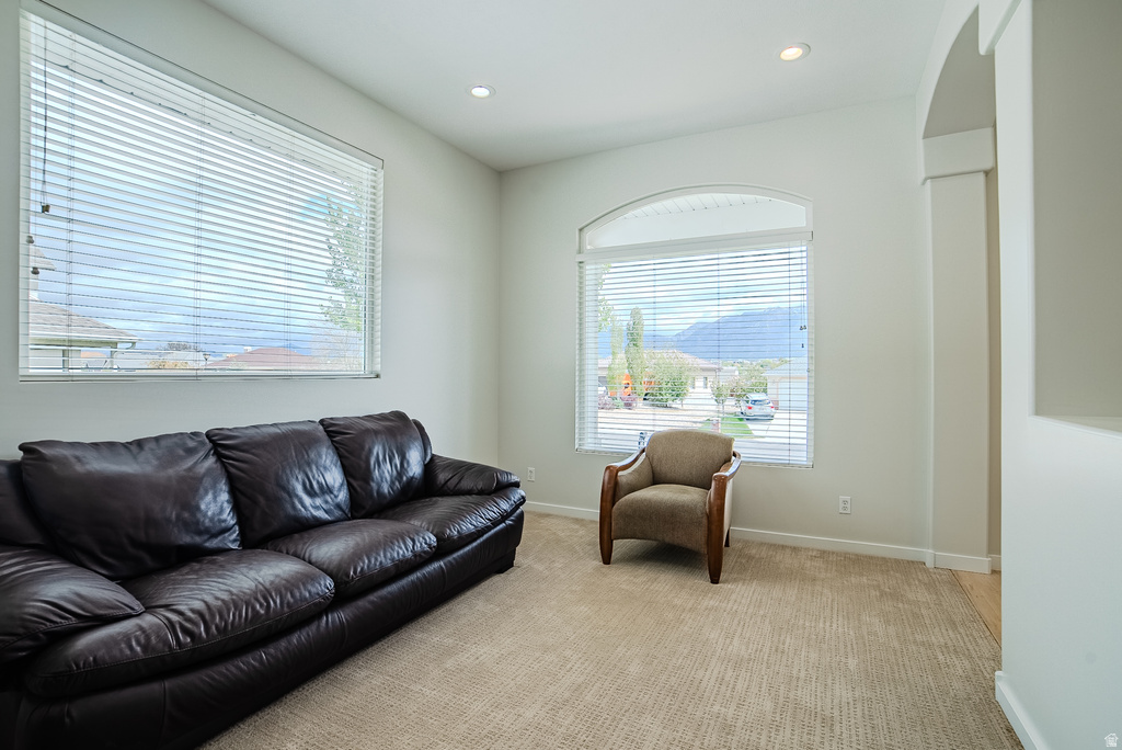 12008 S REEVES LN Riverton, UT 84065