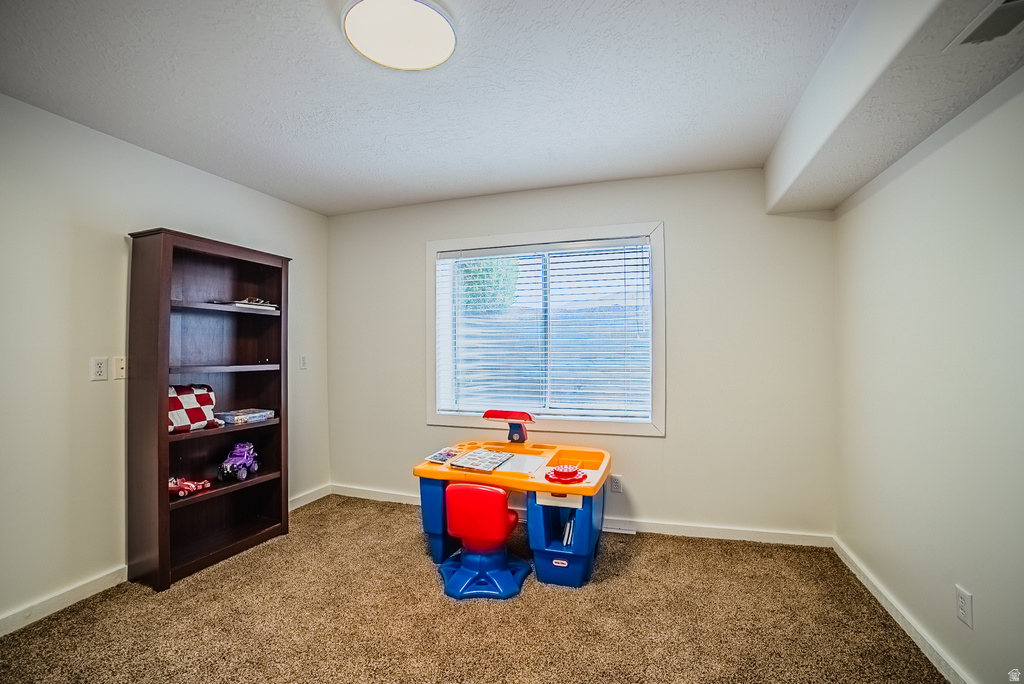 12008 S REEVES LN Riverton, UT 84065