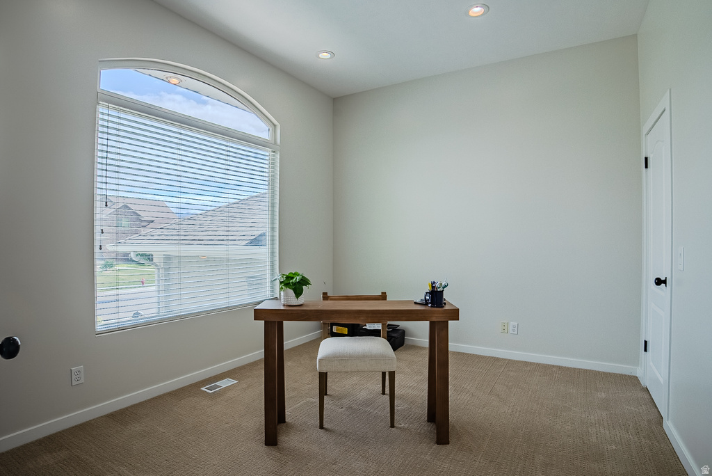 12008 S REEVES LN Riverton, UT 84065