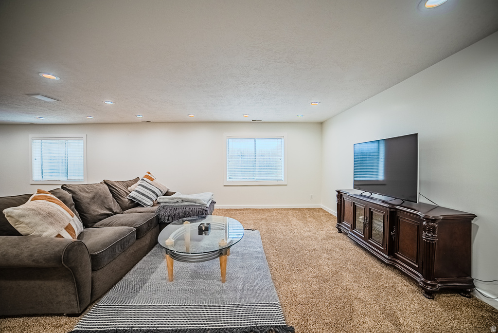 12008 S REEVES LN Riverton, UT 84065