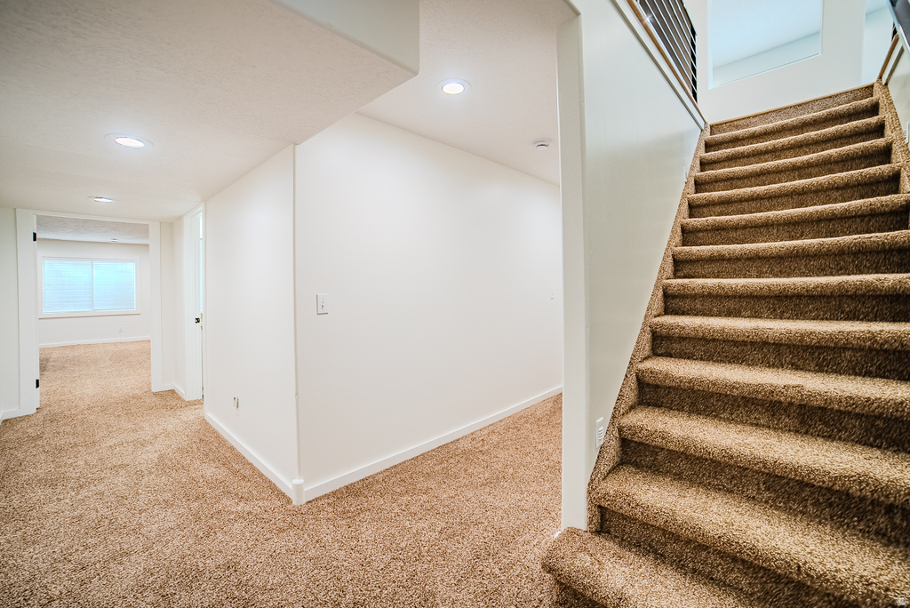 12008 S REEVES LN Riverton, UT 84065