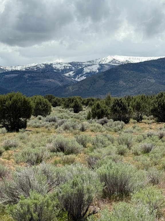  Spring City, UT 84662