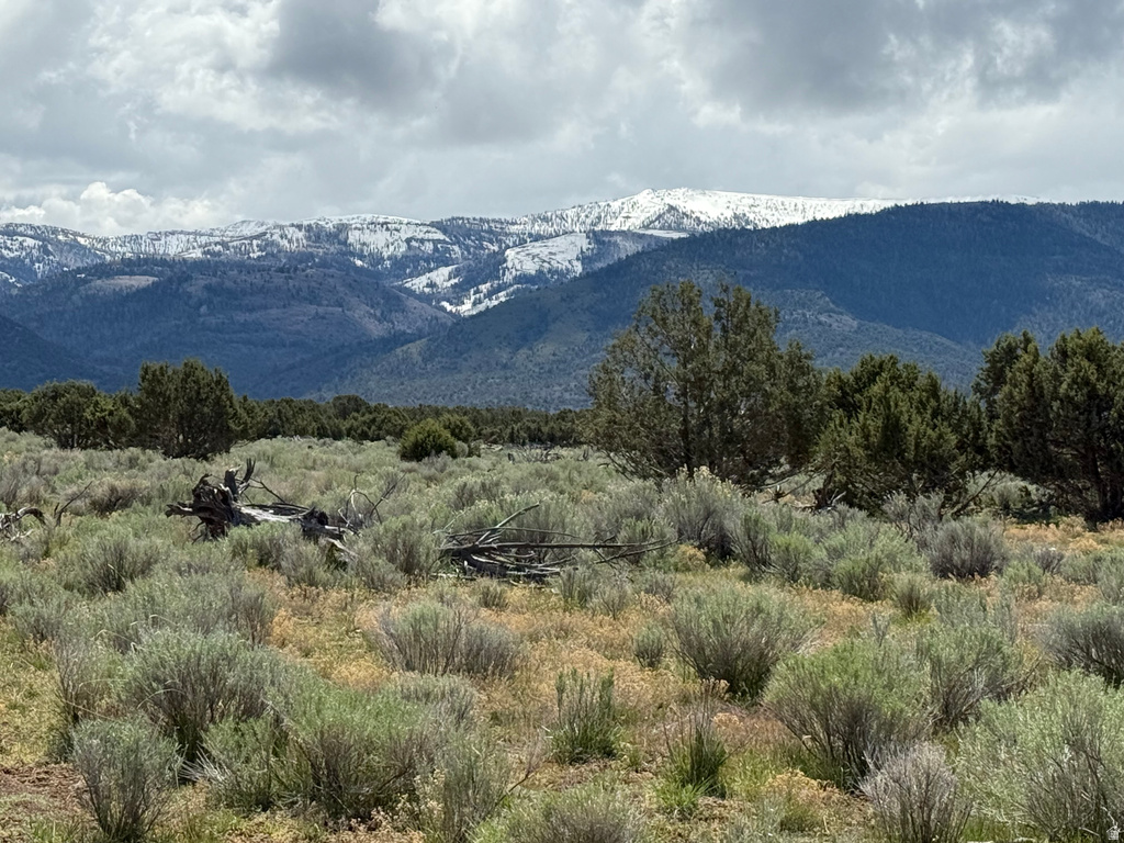 Spring City, UT 84662