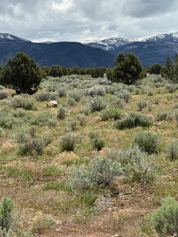  Spring City, UT 84662