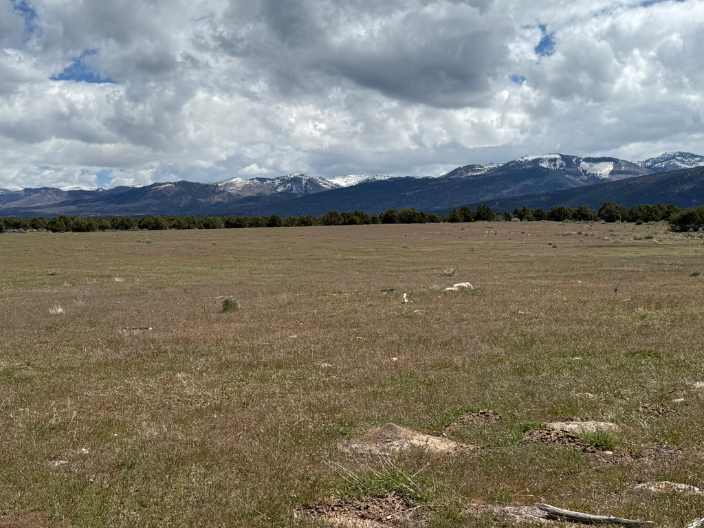  Spring City, UT 84662