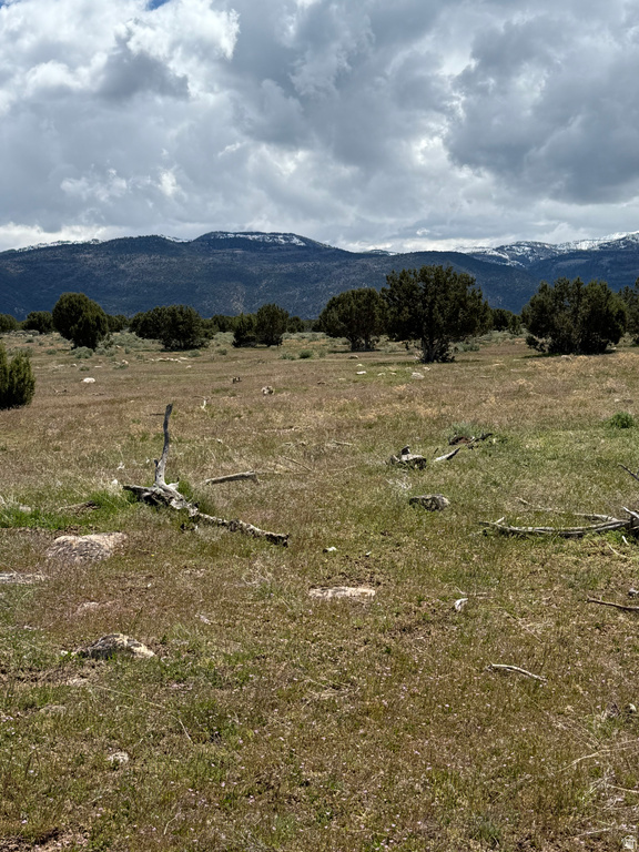  Spring City, UT 84662