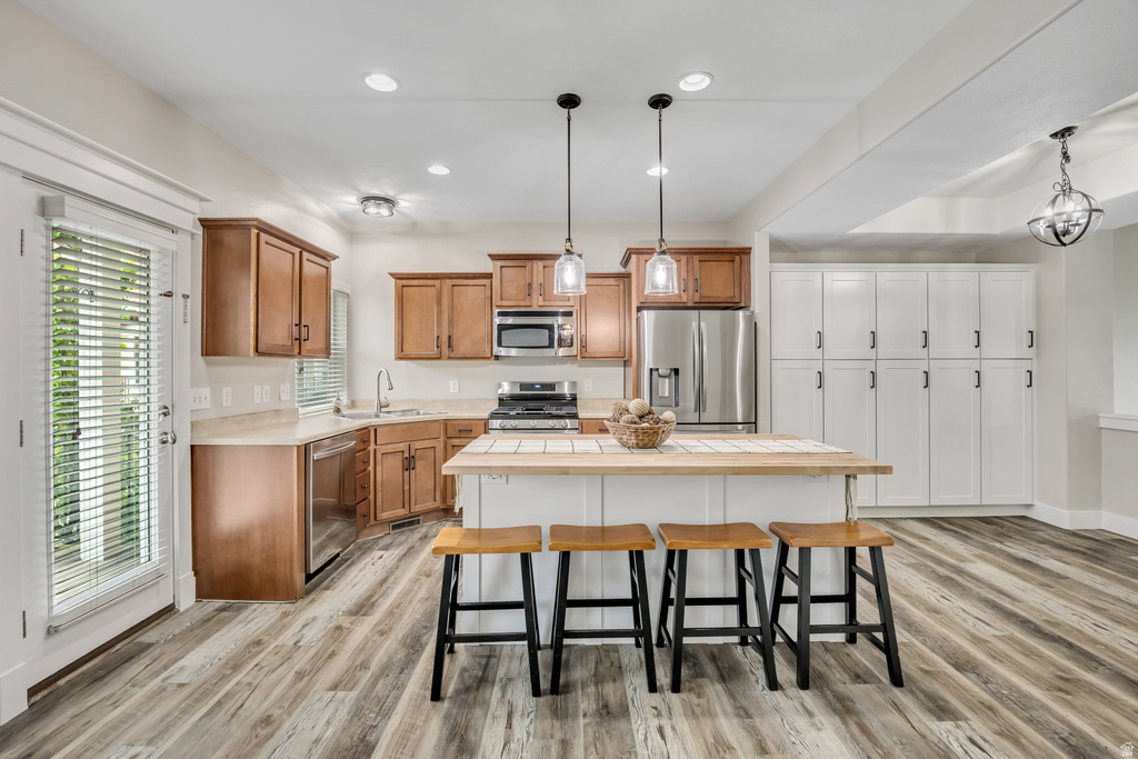 1099 E EAST GARDEN BEND PL Sandy, UT 84094