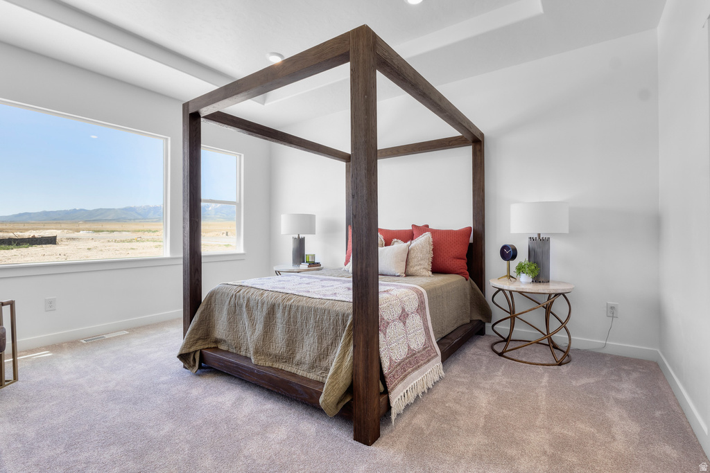 1346 N TALMAGE LN #37 Logan, UT 84341