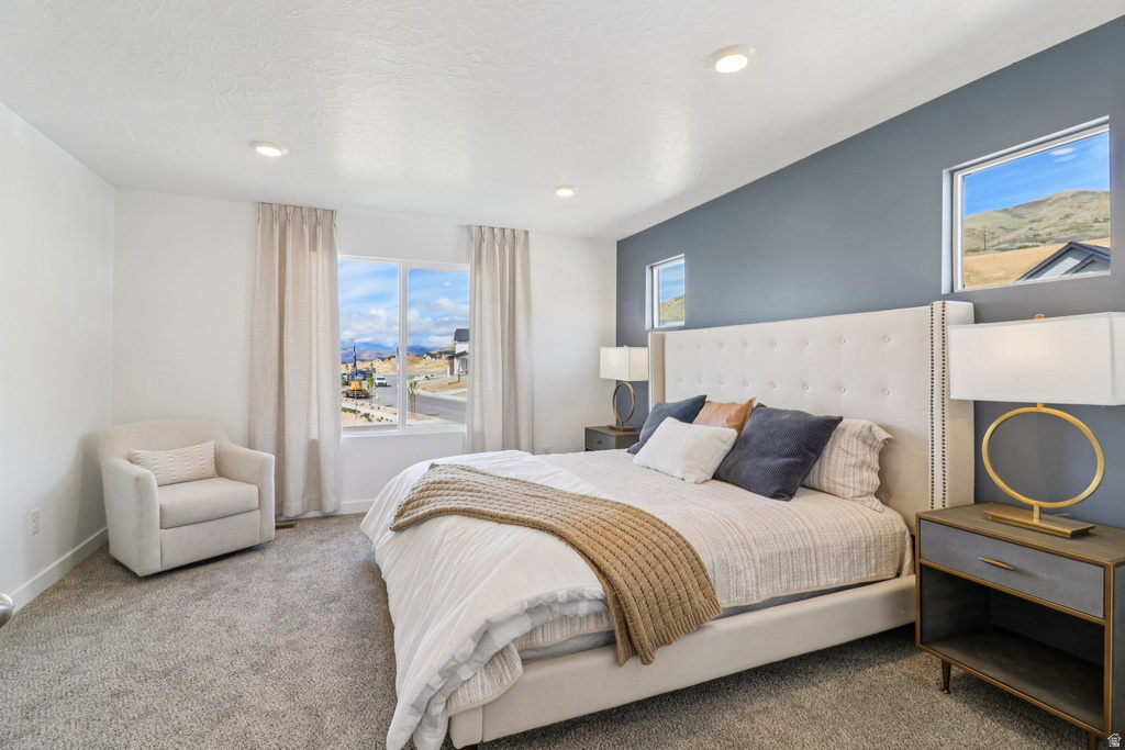 4369 N BUCKSTONE WAY #1390 Lehi, UT 84048