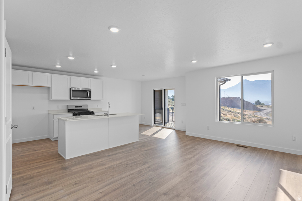 4254 N BUCKSTONE WAY #1365 Lehi, UT 84048