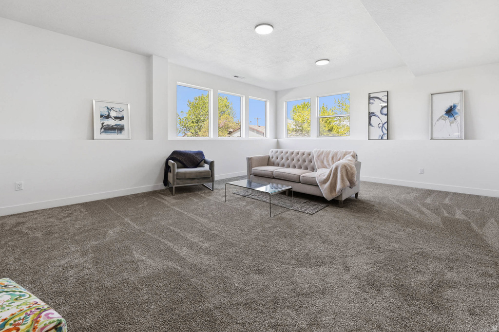 469 N 1360 E Tooele, UT 84074