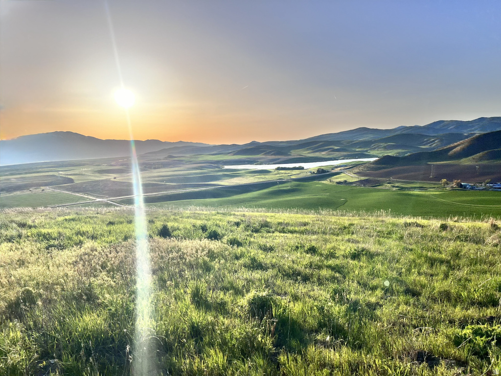 1446 E MAIL RT Preston, ID 83263