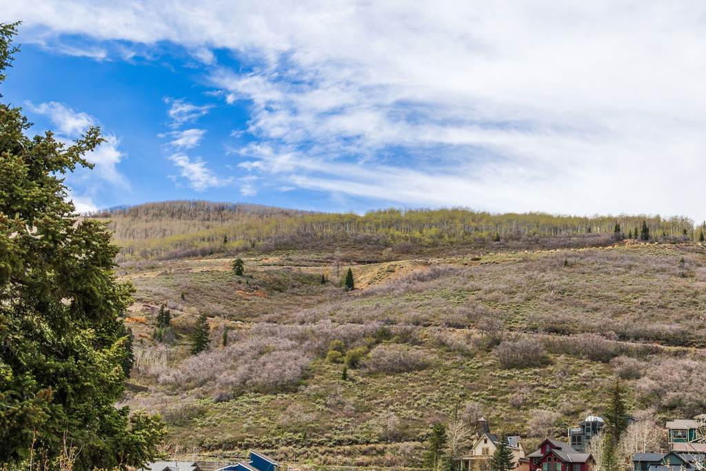 60 PROSPECT AVE Park City, UT 84060