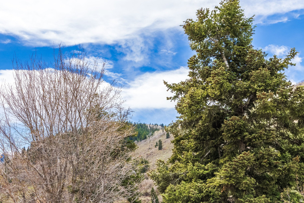 60 PROSPECT AVE Park City, UT 84060