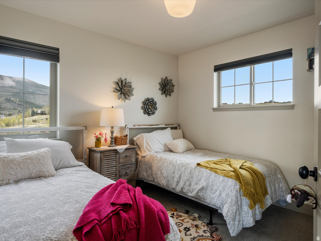 201 CANYON PL Fish Haven, ID 83287