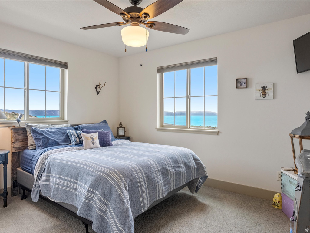 201 CANYON PL Fish Haven, ID 83287