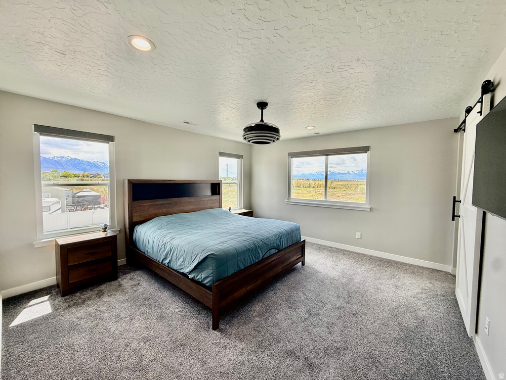 6371 N WILD MARE WAY Stansbury Park, UT 84074