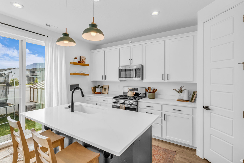 1748 N KILLDEER DR Salem, UT 84653