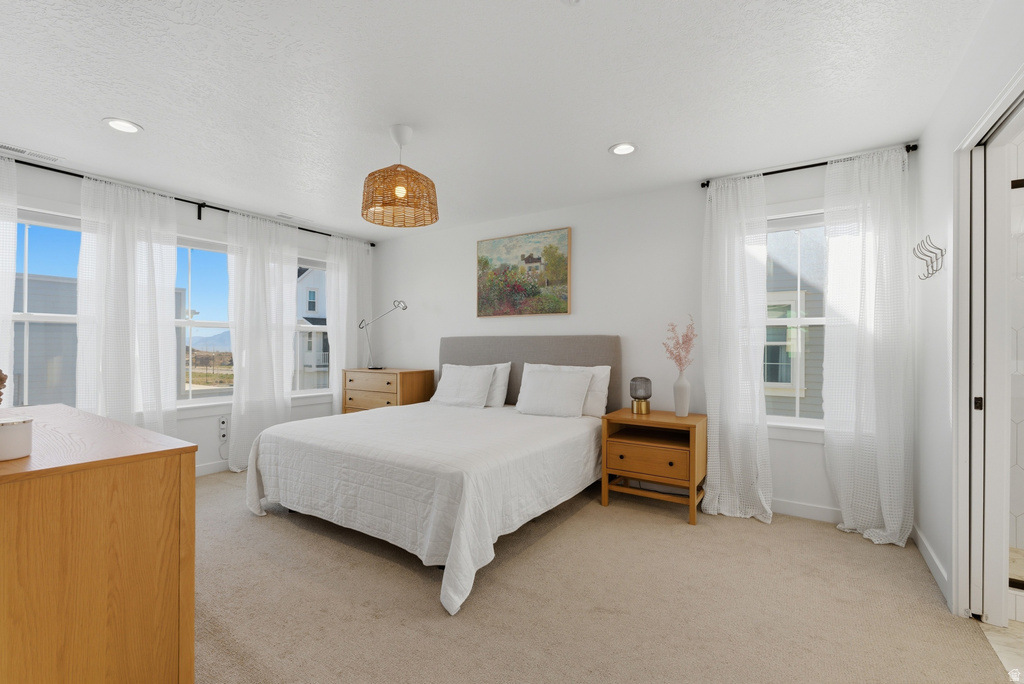11151 S CHEVIOT HILLS LN South Jordan, UT 84009