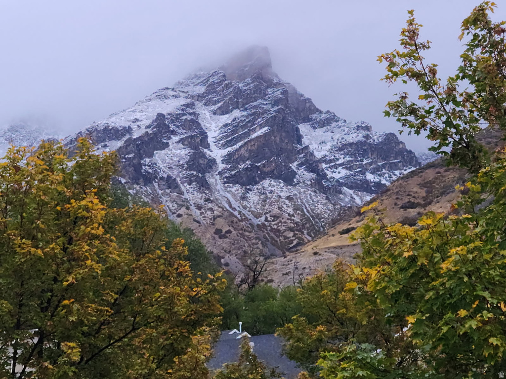 1229 S 1460 E Provo, UT 84606