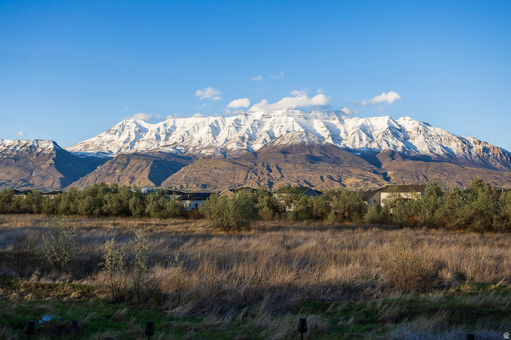 92 N EDEN WAY Vineyard, UT 84059