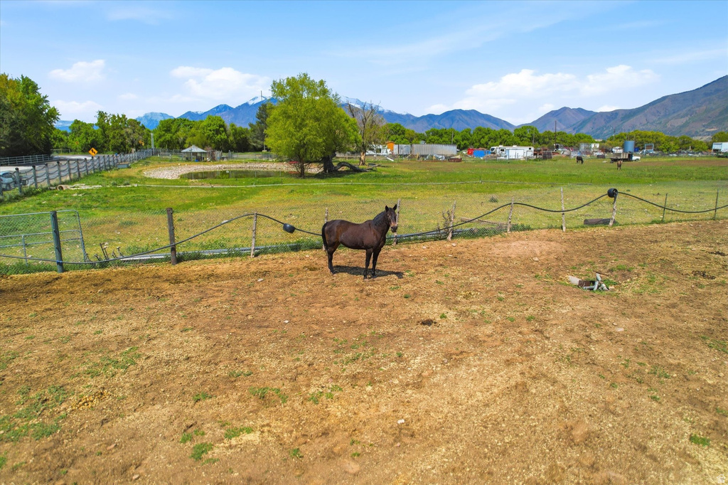 8771 S 1150 E Spanish Fork, UT 84660