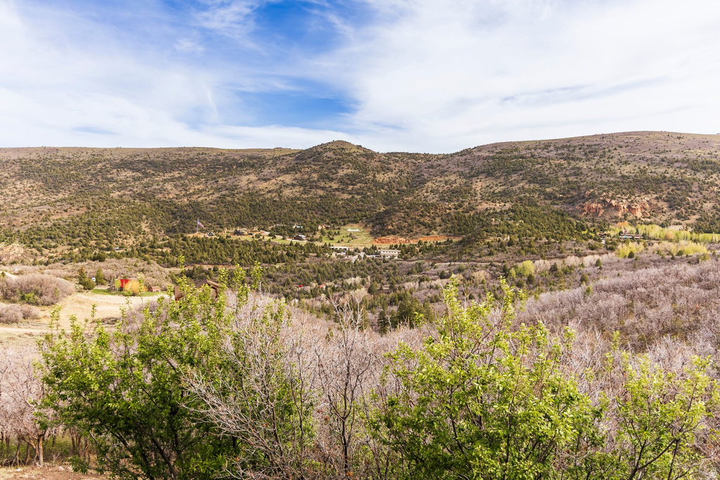 1553 S TREE TOP LN #359 Heber City, UT 84032