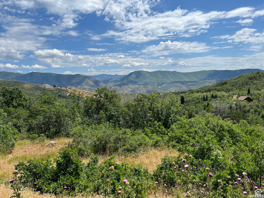  Springville, UT 84663