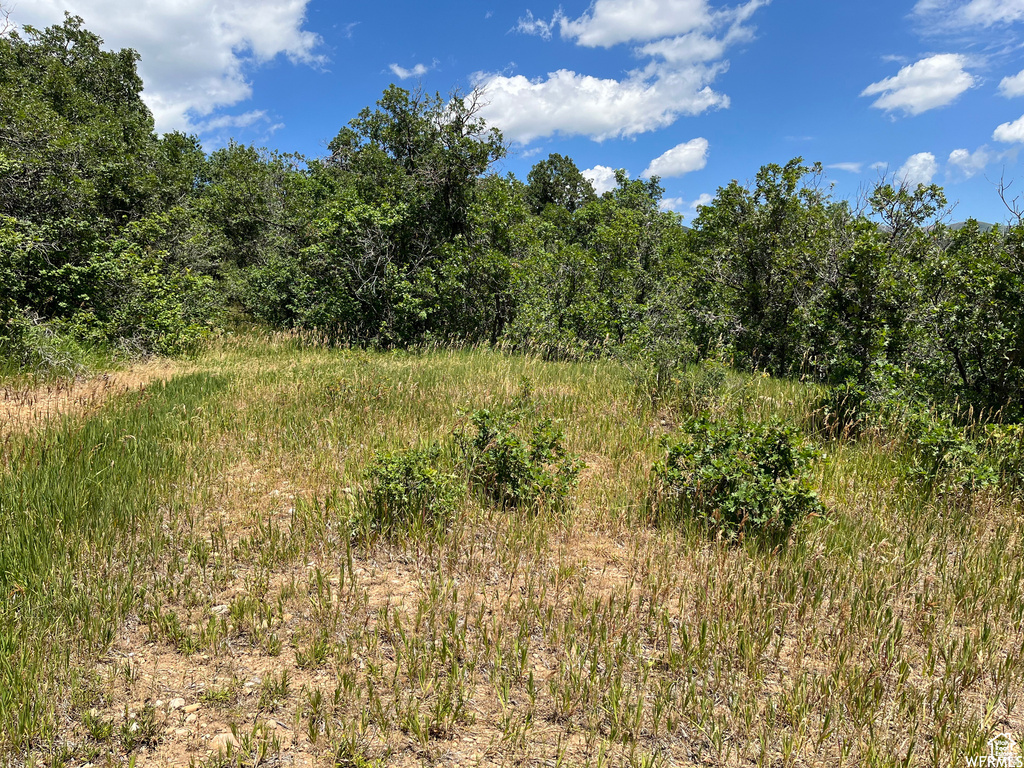  Springville, UT 84663