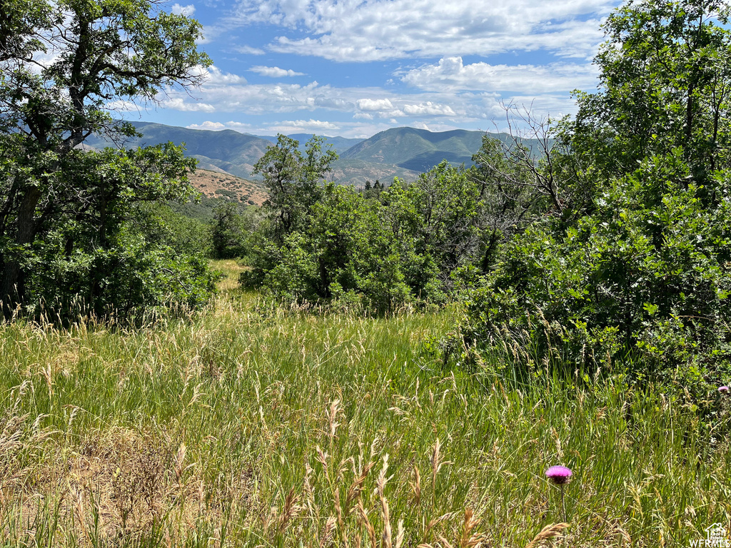  Springville, UT 84663