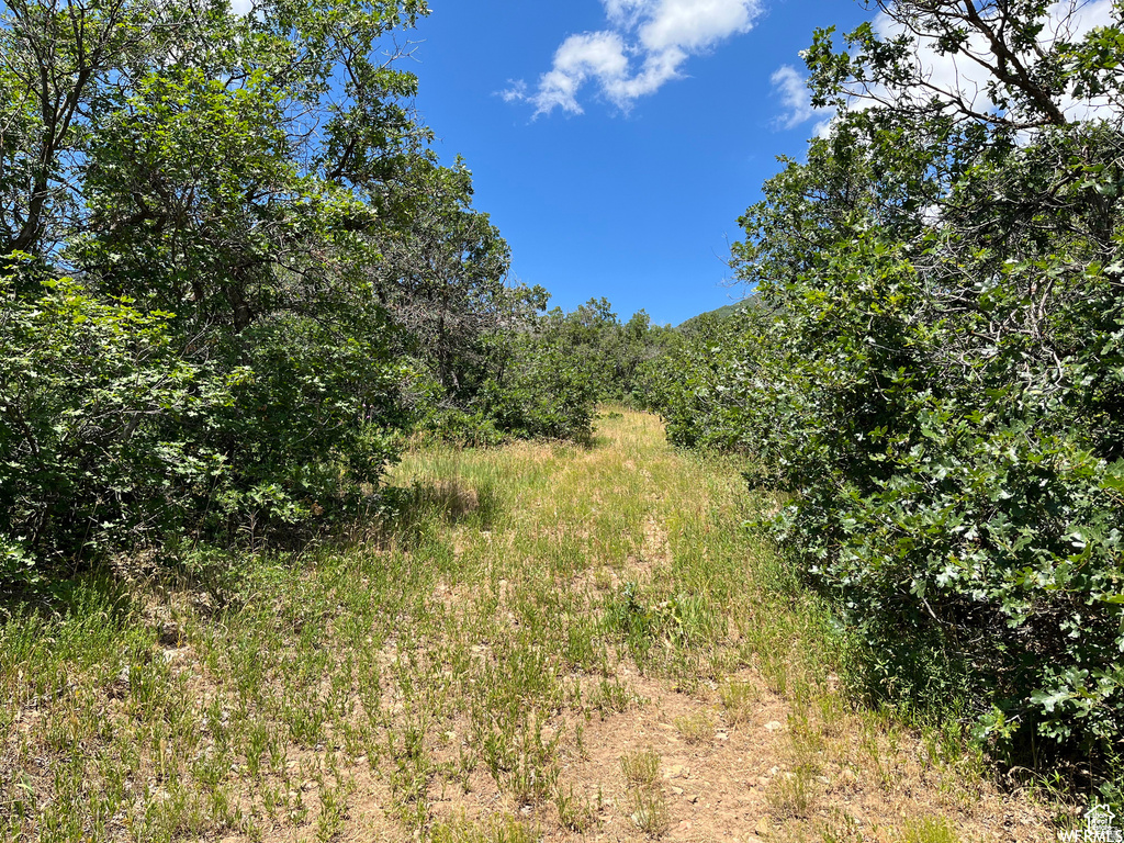  Springville, UT 84663