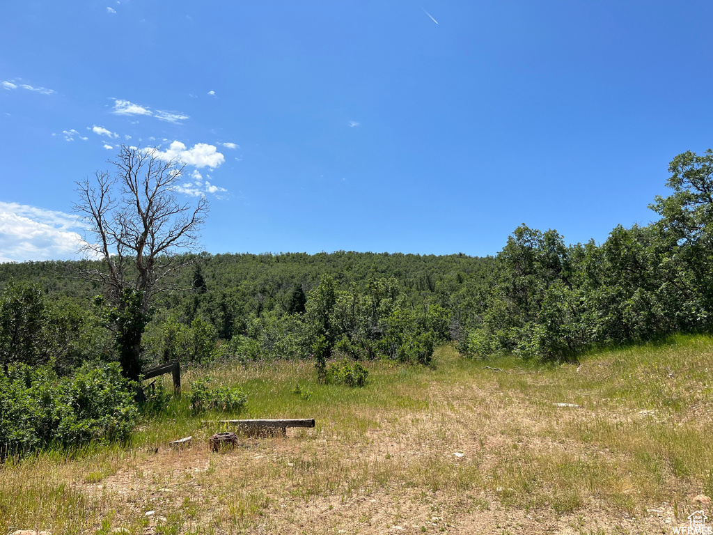  Springville, UT 84663