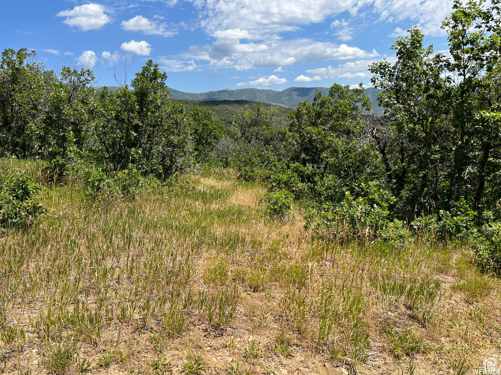  Springville, UT 84663
