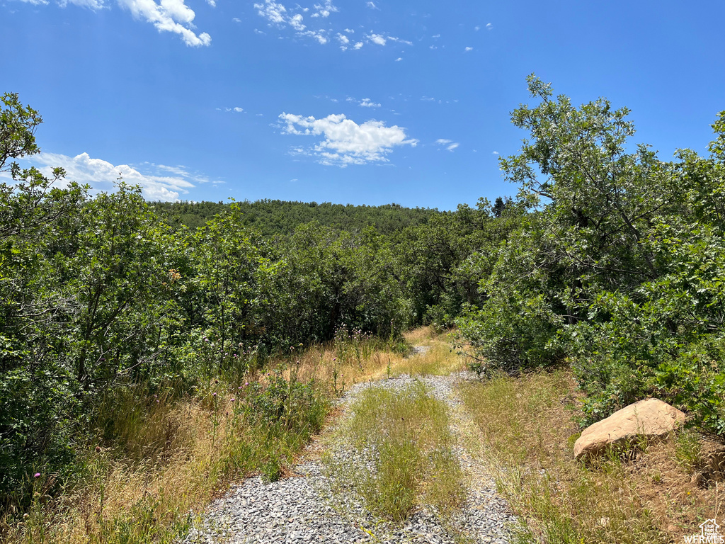  Springville, UT 84663