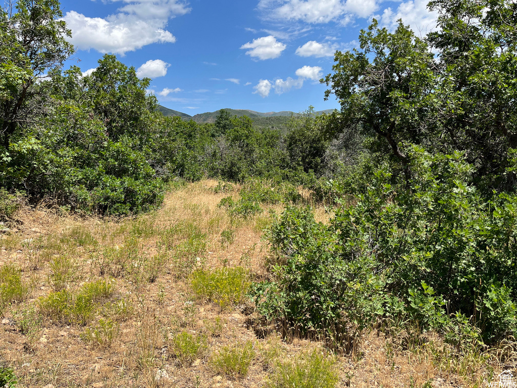  Springville, UT 84663