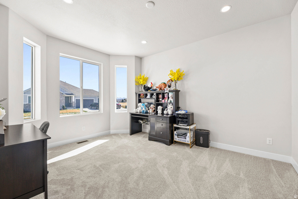 13336 S CARMEN OAK DR Herriman, UT 84096
