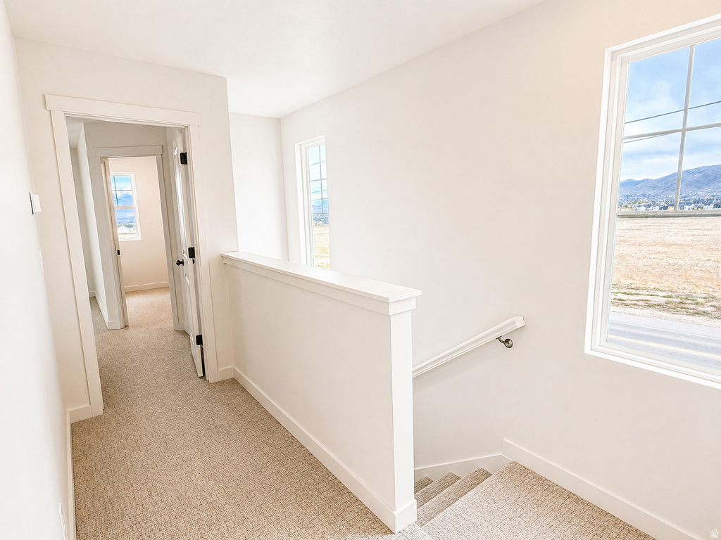 11786 S FLYING FISH DR #613 South Jordan, UT 84095