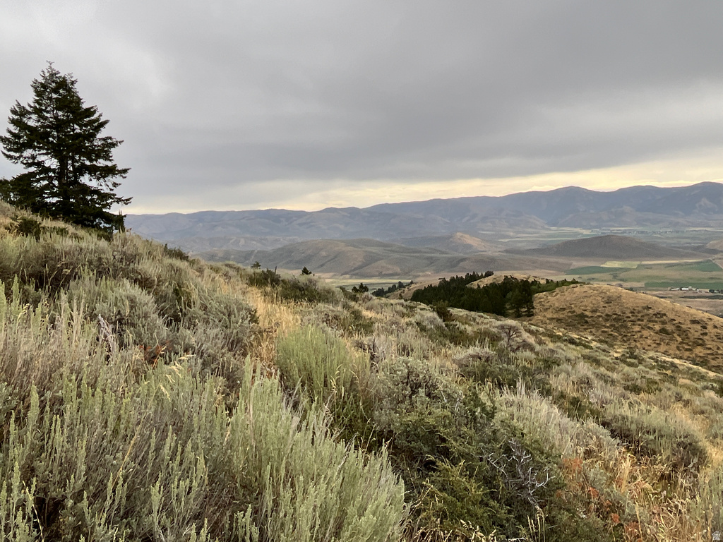  Montpelier, ID 83254